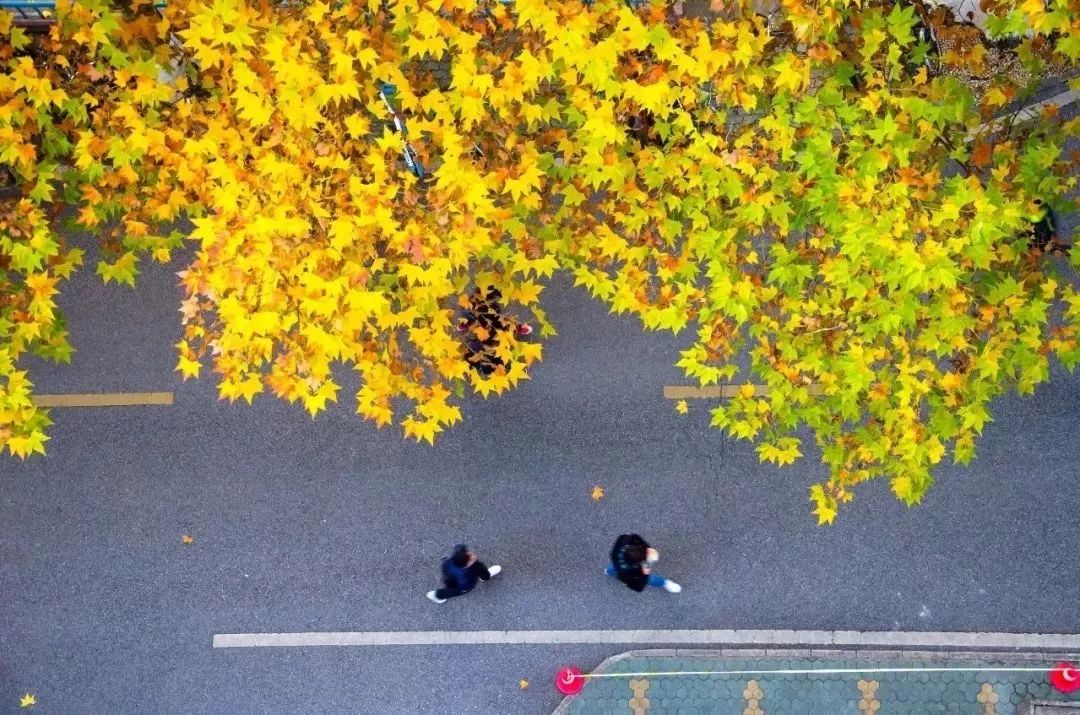 武汉地质大学南望山,武汉地质大学汉口校区