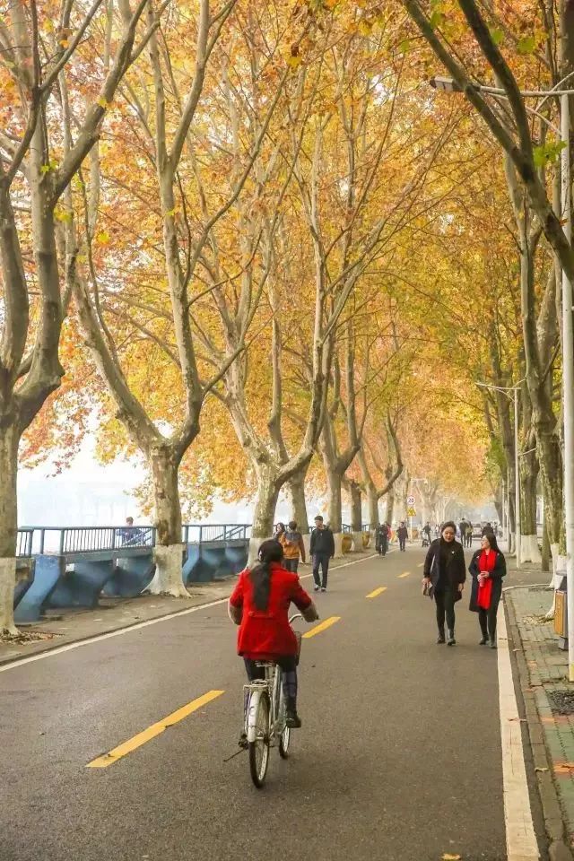 武汉地质大学南望山,武汉地质大学汉口校区