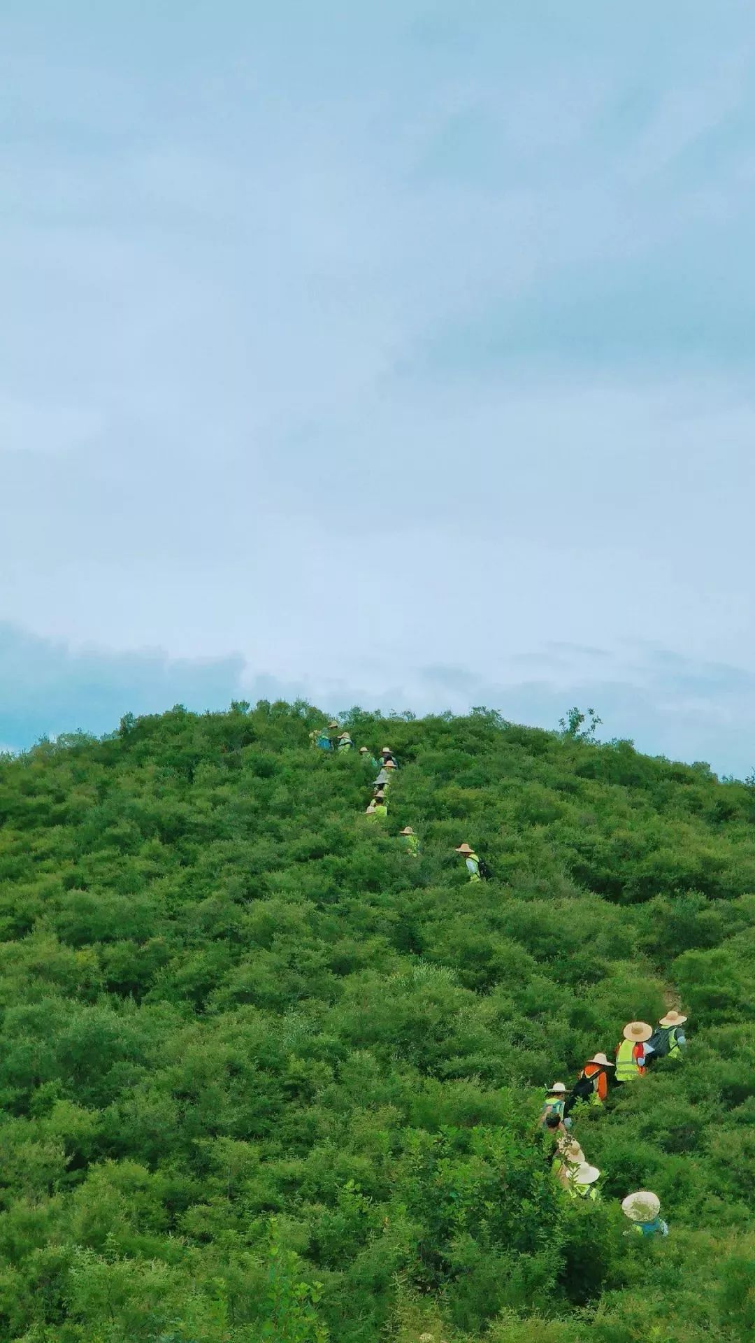武汉地质大学南望山,武汉地质大学汉口校区