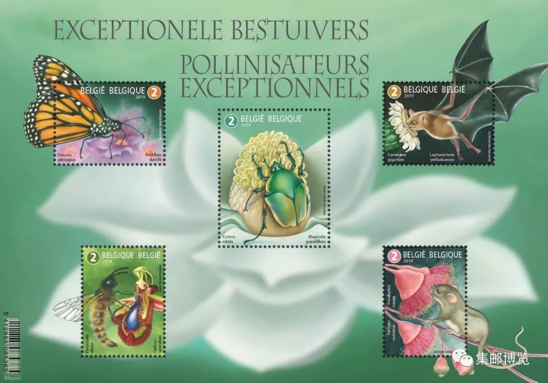 外邮速报|比利时：全国邮政编码聚方寸