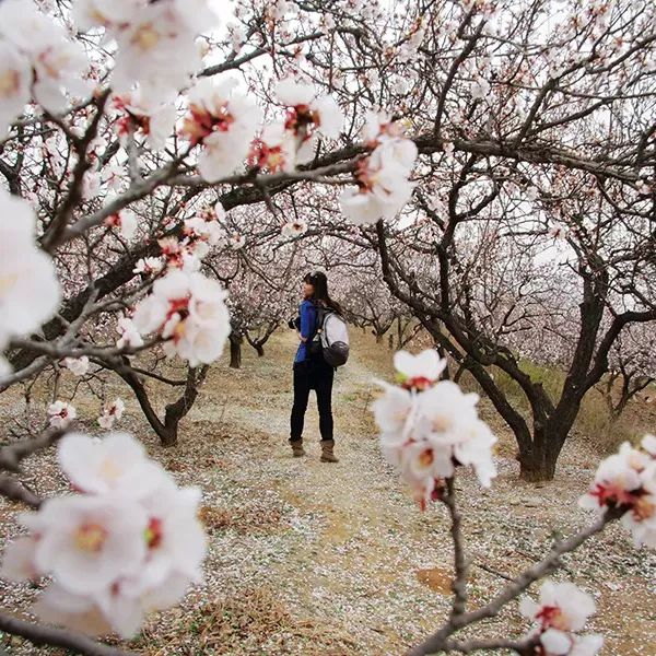 爱上一座城是因为爱上了一个人,因为一个人爱上一座城文案