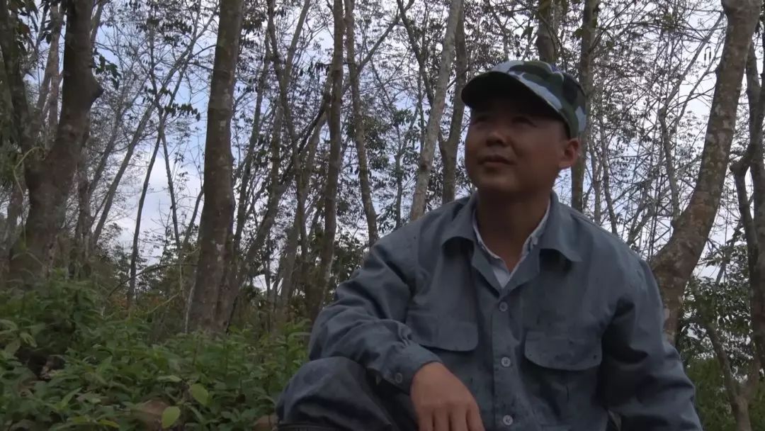 鎰熷姩娑堥槻鍛樻晳灏忓,缇や紬琚秷闃插憳鏁戜汉鎰熷姩鐬棿