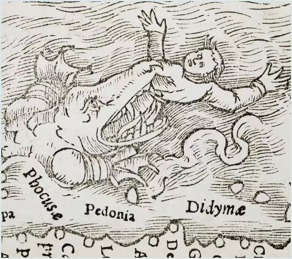 看了一圈中世纪海怪，觉得活在现代真的好好哦！