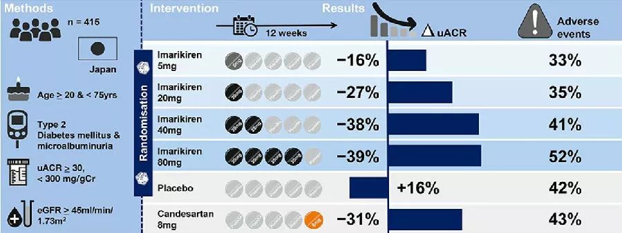Imarikiren：白蛋白尿治疗新药速递