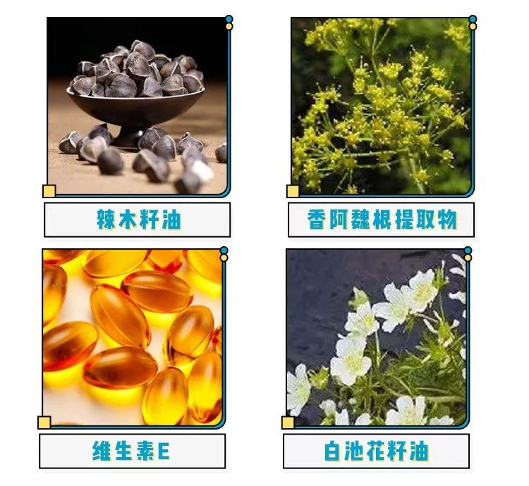 名副其实的防晒乳水润轻薄,平价大碗防晒乳