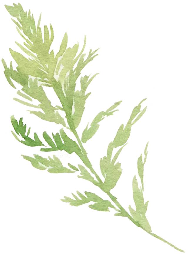 楠ㄧ鍖婚櫌鐨勭鎿嶄綔,绁炴搷浣滃彸鎵嬮鎶橀┚椹舵墜鍔ㄦ尅姹借溅