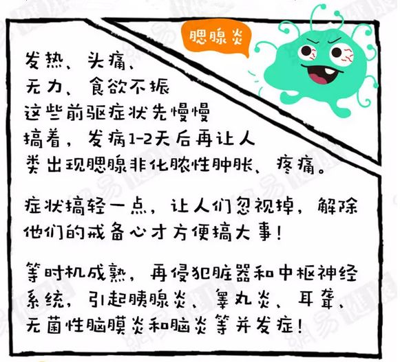 风疹预防知识图片,预防麻疹与流行性腮腺炎图片