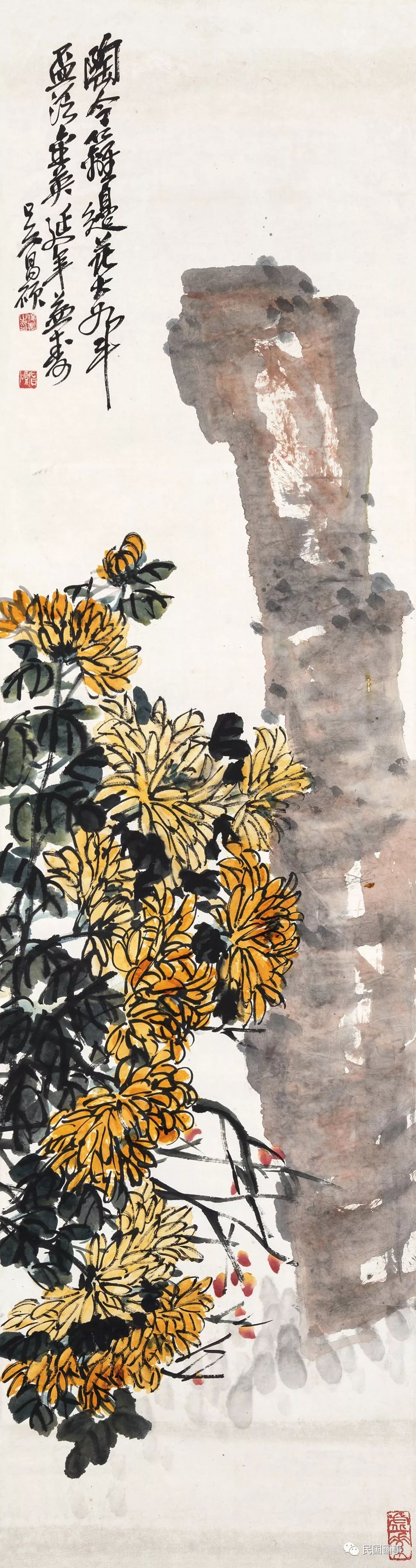 为什么要去武大看樱花,为什么要去日本看樱花