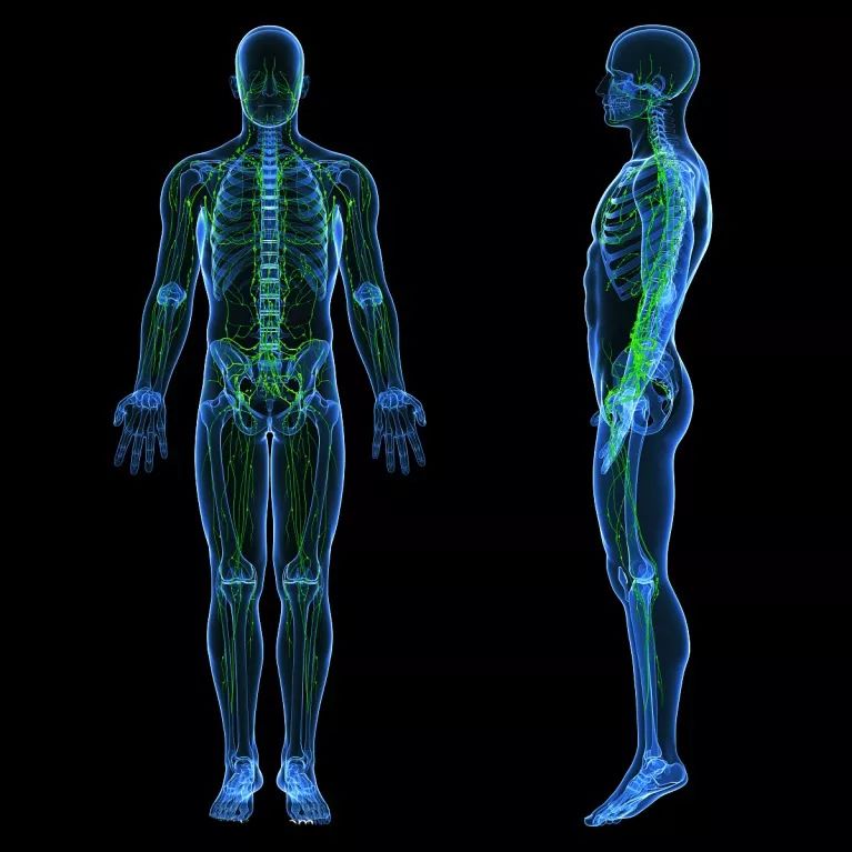 泰国回来后得白血病,泰国回来得了癌症