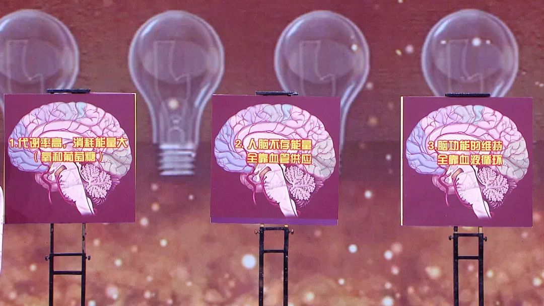 养生堂2023.11.7全集免费,养生堂2020全集视频直播