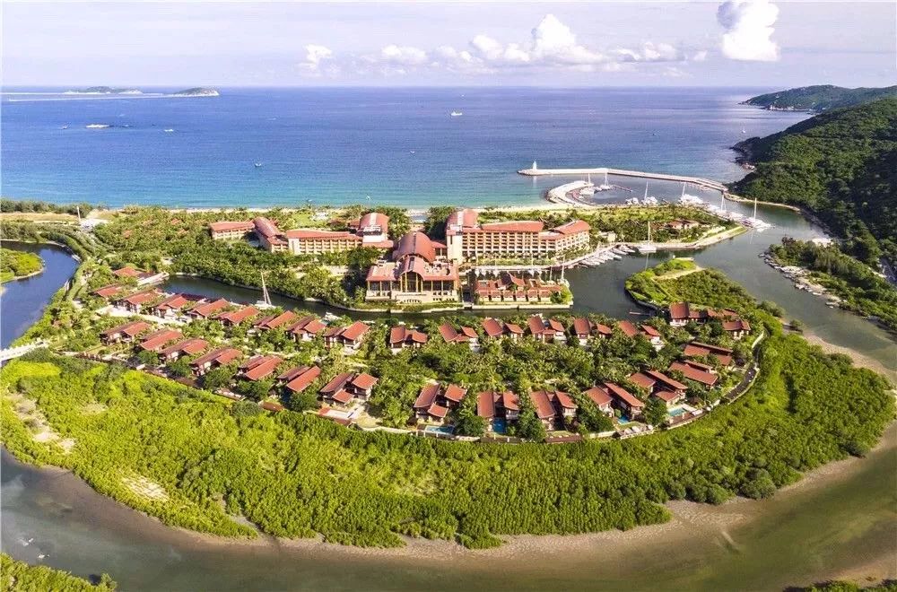 5折入住,抖音推荐的网红酒店