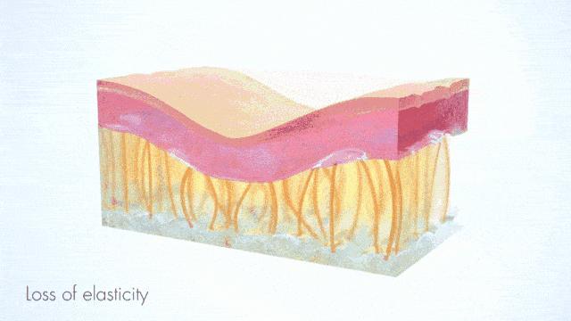 麻范儿好物|日本“吸油圣斗士”,1天1条,7天瘦出小蛮腰!酸酸甜甜,比果冻还好吃