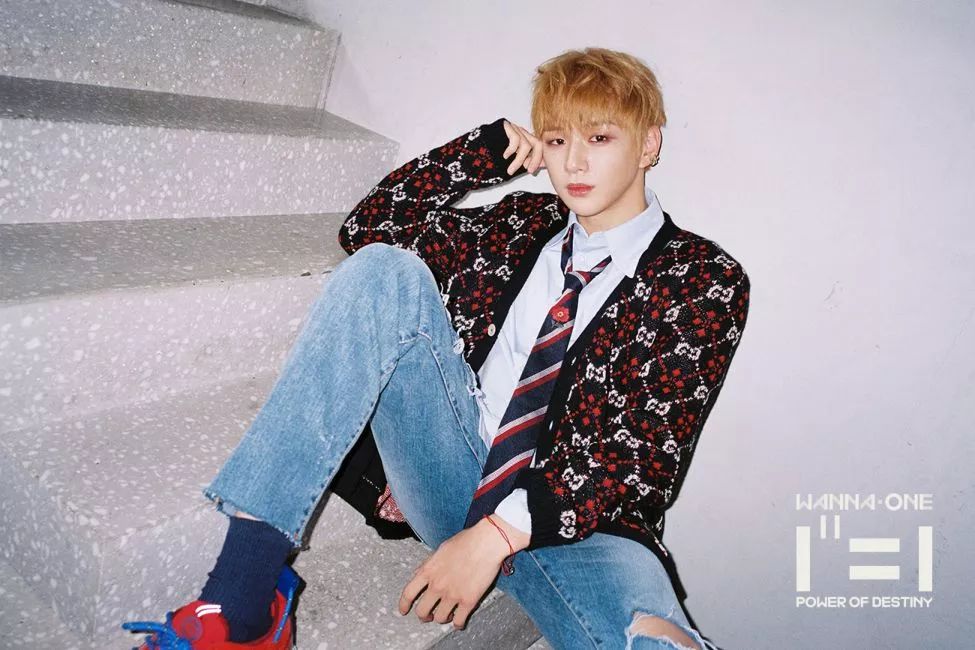 王晰签约乐华娱乐,NHK将举办平成最后红白歌会