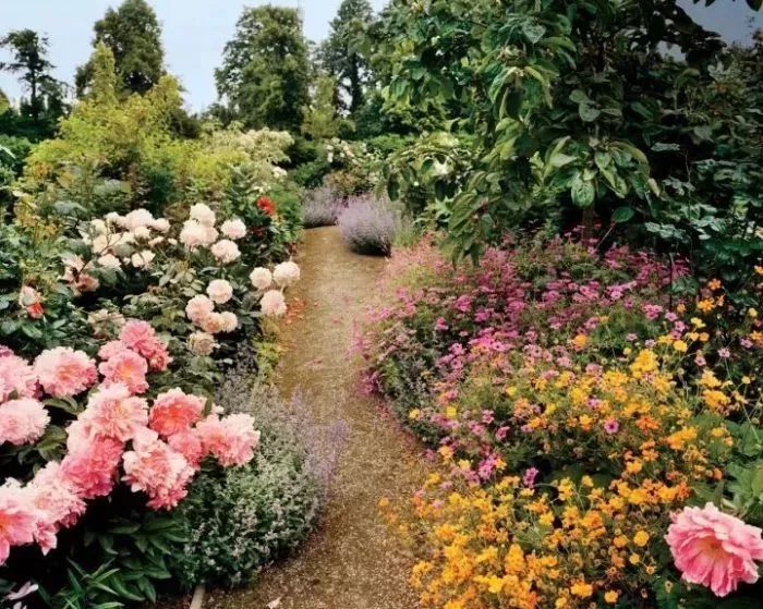 时尚吃货,时尚明星吃货