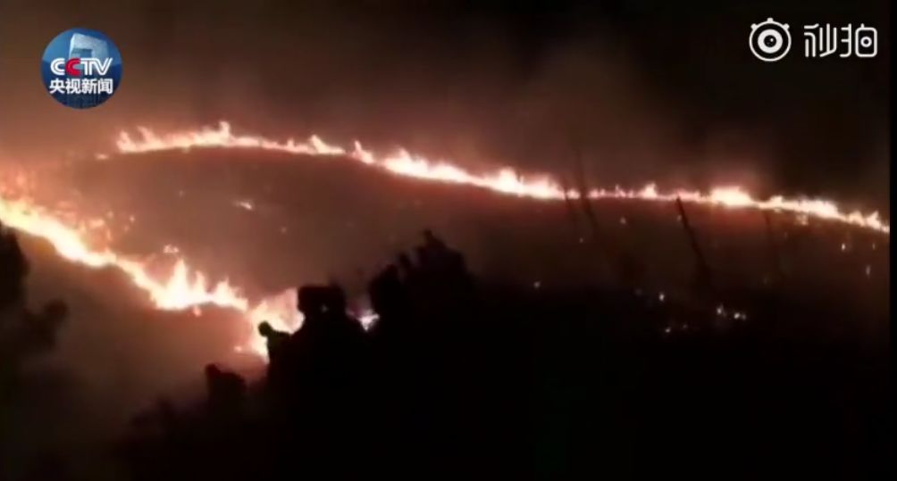 今日话题:单位食堂节假日期间对游客开放〡早安,张家界(343期)