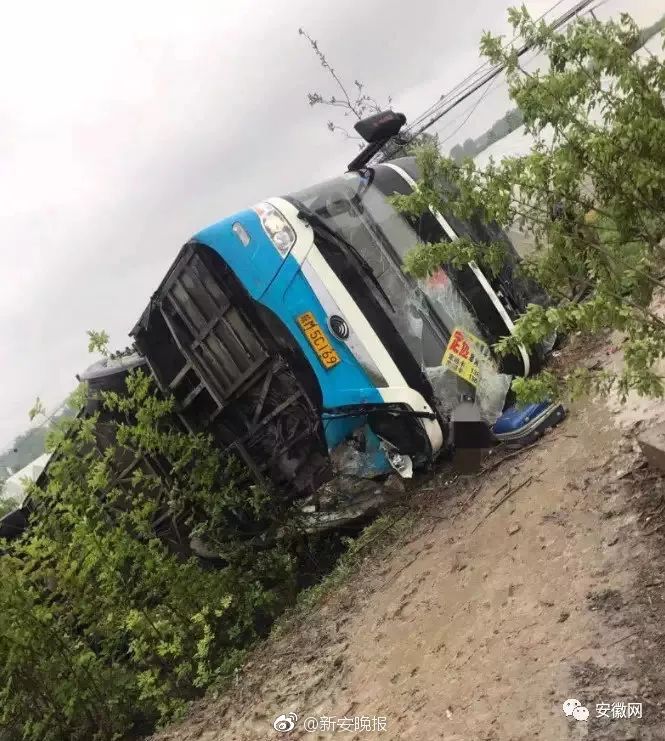 今日话题:单位食堂节假日期间对游客开放〡早安,张家界(343期)