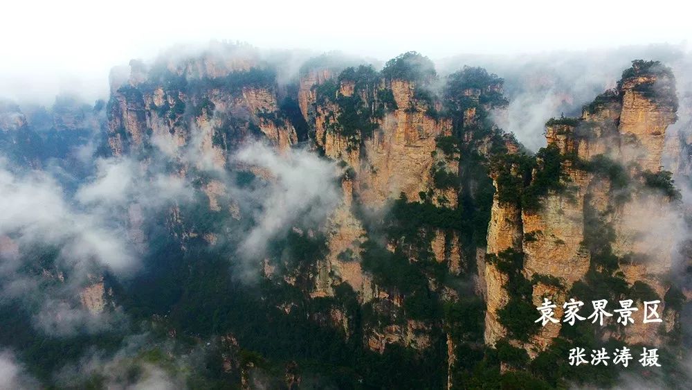 今日话题:单位食堂节假日期间对游客开放〡早安,张家界(343期)