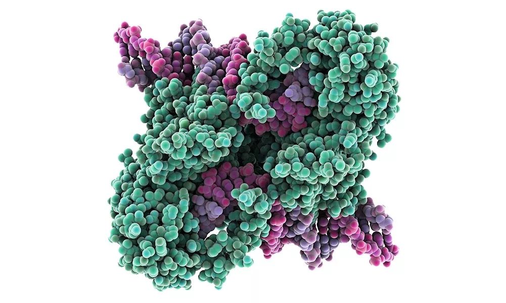 产妇月子里能喝米酒煮蛋么,产妇月子里能天天喝黄酒吗