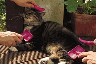 全球最大MUJI旗舰店，11层楼逛到你怀疑人生