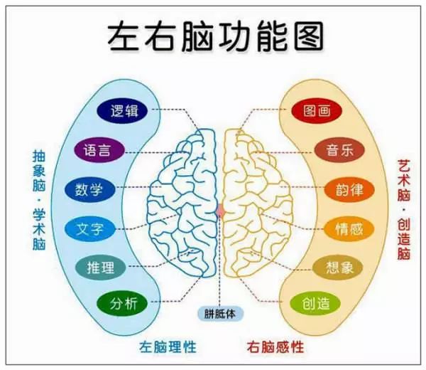 知乎高赞回答,零基础学英语到流利方法知乎