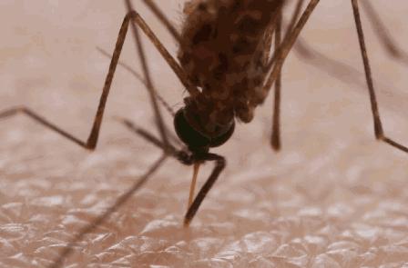 出门玩一圈回来浑身瘙痒,防蚊喷雾驱蚊止痒