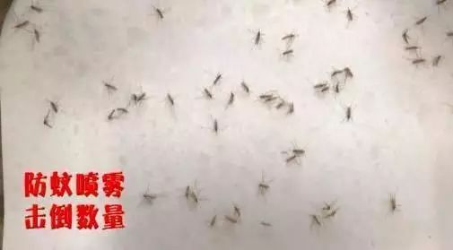 出门玩一圈回来浑身瘙痒,防蚊喷雾驱蚊止痒