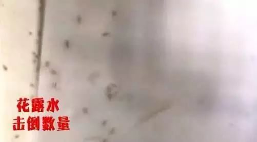 出门玩一圈回来浑身瘙痒,防蚊喷雾驱蚊止痒