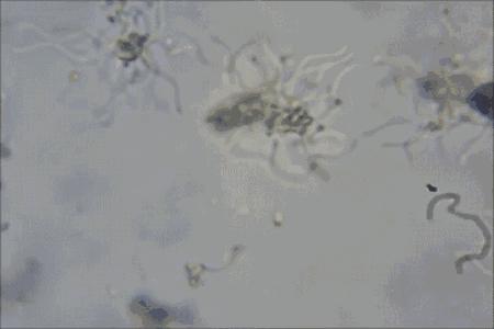 男人的臭袜子,男生防脚臭船袜