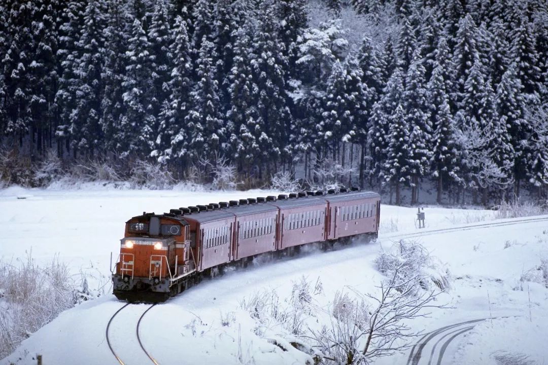 德鲁克的书籍有哪些,德鲁克书有哪些