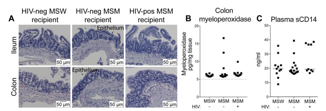 百晓生|PLoSPathogens：你的*伴侣性**可以改变你体内的微生物群