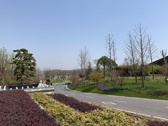 江宁摄影景点,一座带滤镜的城市