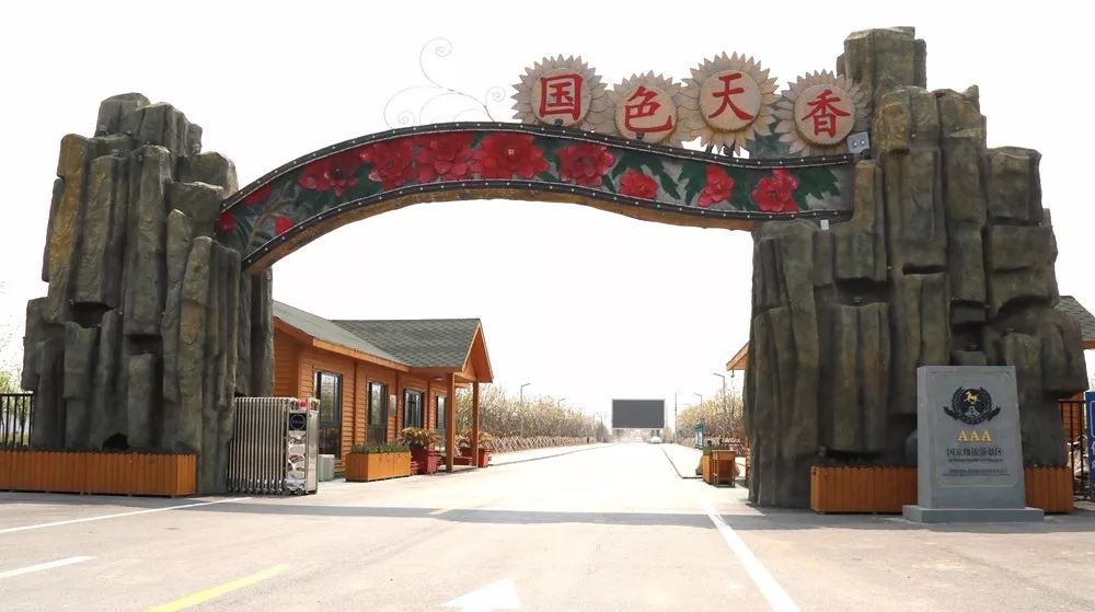 济宁太白湖牡丹园特惠票,济宁太白湖牡丹园门票怎么免费领