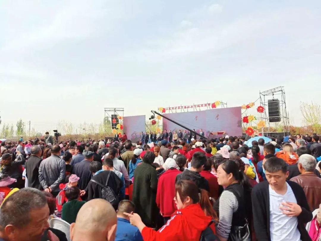 济宁太白湖牡丹园特惠票,济宁太白湖牡丹园门票怎么免费领