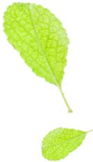 大动静!象山区总投资37.89亿的11大项目闪亮登场,你最关注哪一个?