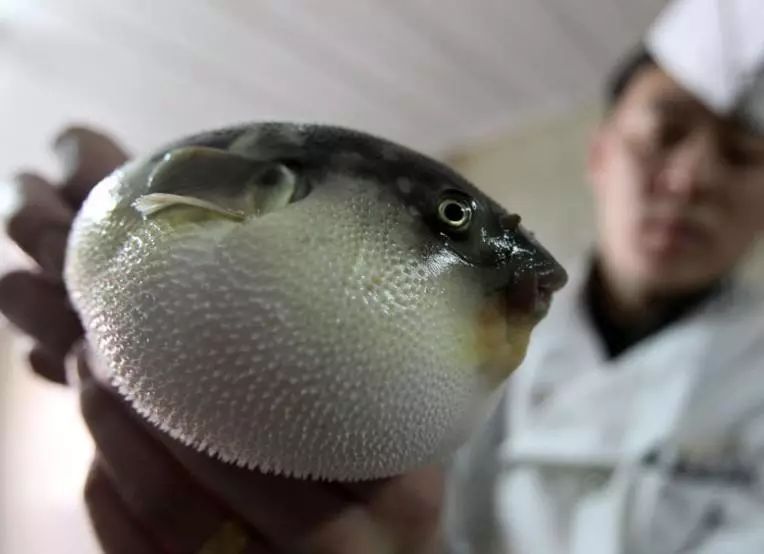 寮烘倣涔嬪厜,寮烘倣涔嬭檸