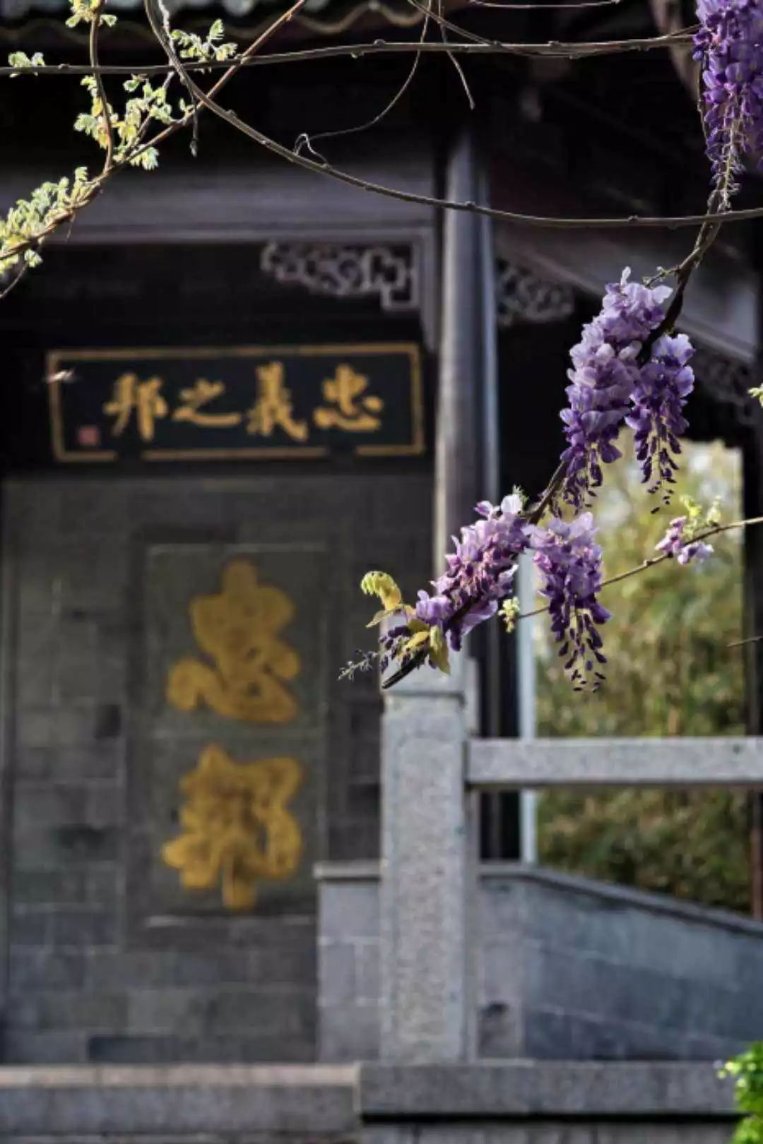 寮烘倣涔嬪厜,寮烘倣涔嬭檸