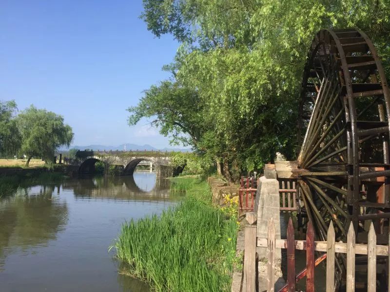 寮烘倣涔嬪厜,寮烘倣涔嬭檸