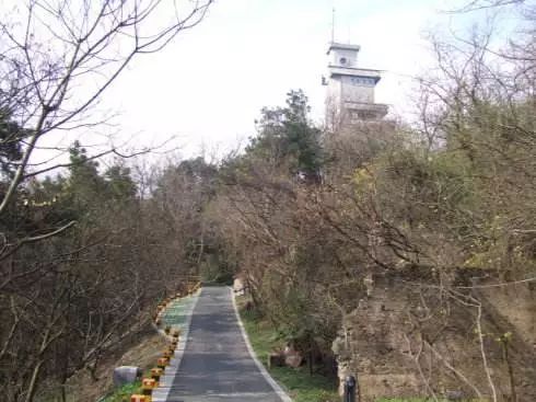 寮烘倣涔嬪厜,寮烘倣涔嬭檸