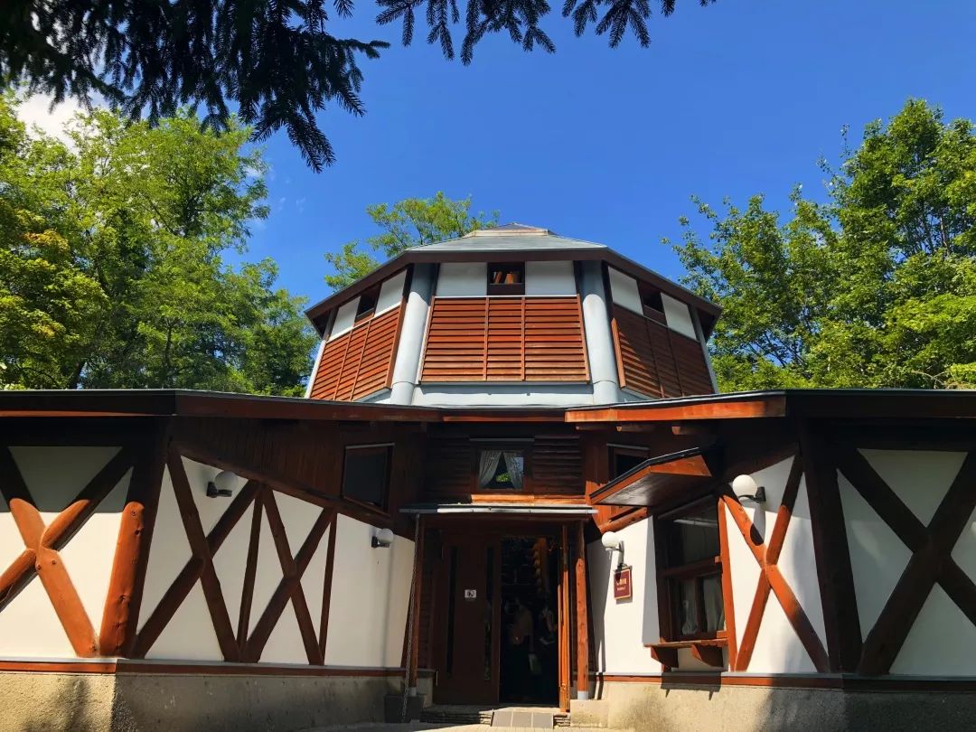 招募丨2019暑期精品小团，蒲蒲兰带你去见宫西达也！