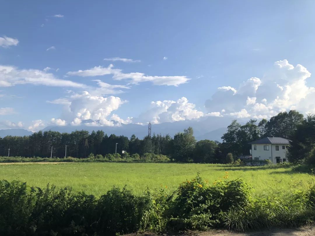 招募丨2019暑期精品小团，蒲蒲兰带你去见宫西达也！