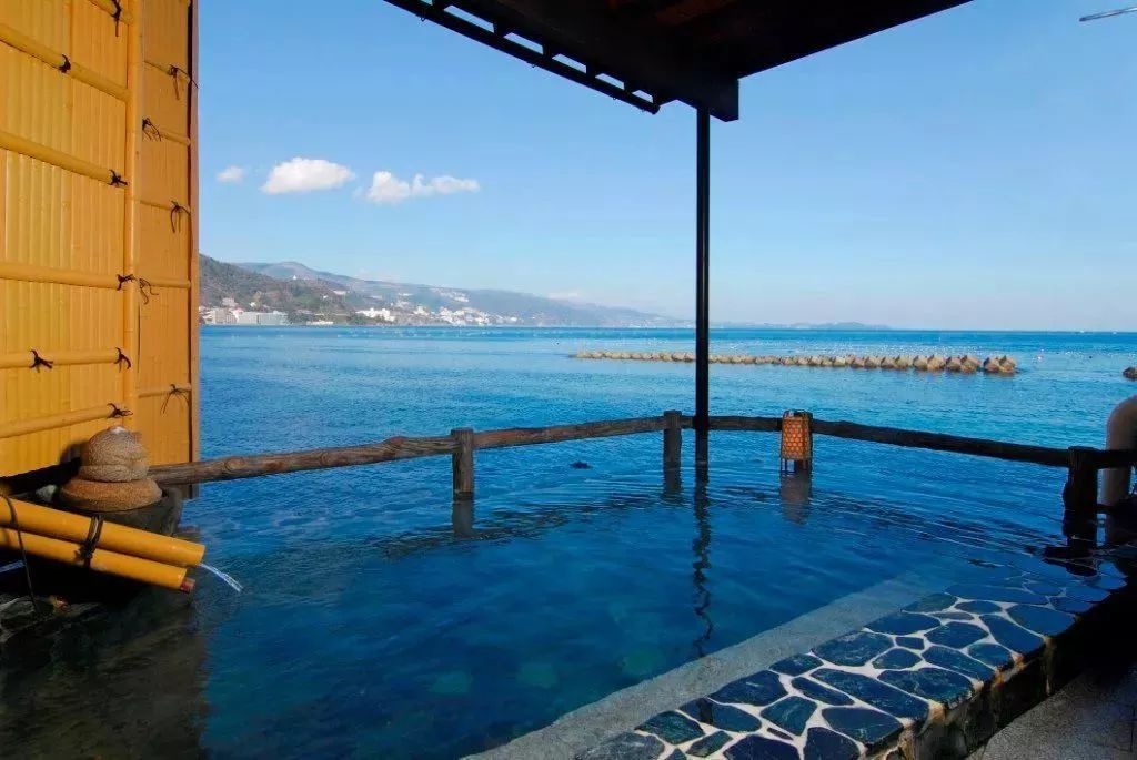 招募丨2019暑期精品小团，蒲蒲兰带你去见宫西达也！