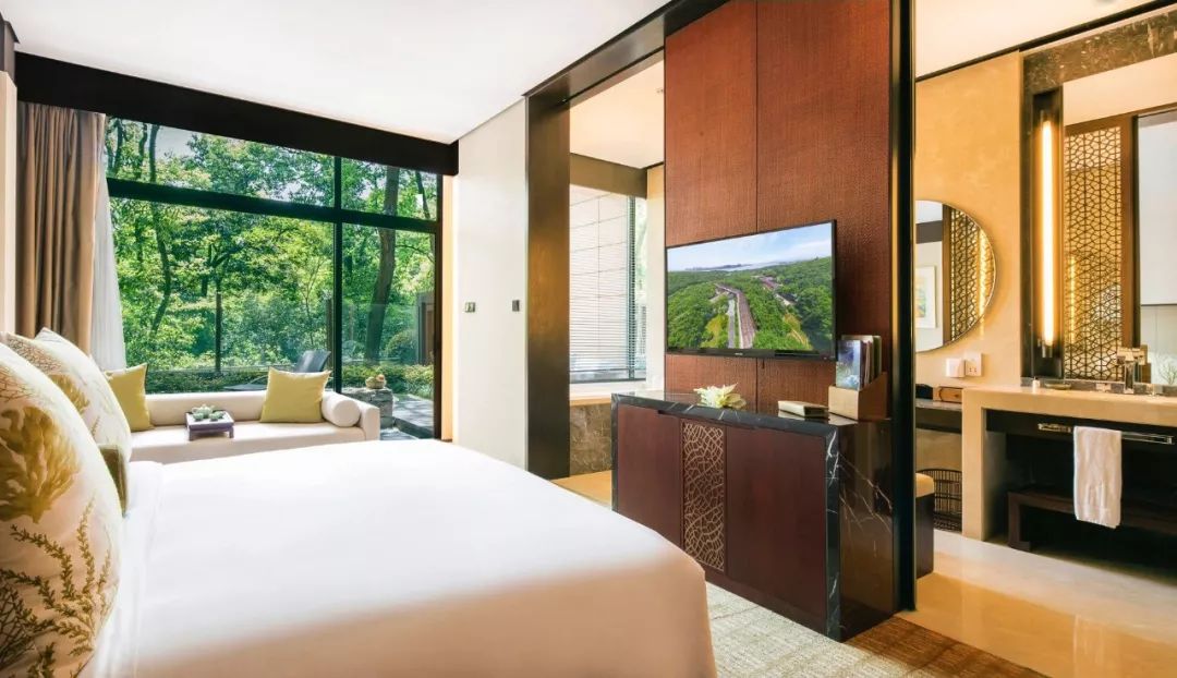 追星最全攻略,追星攻略全文在线阅读