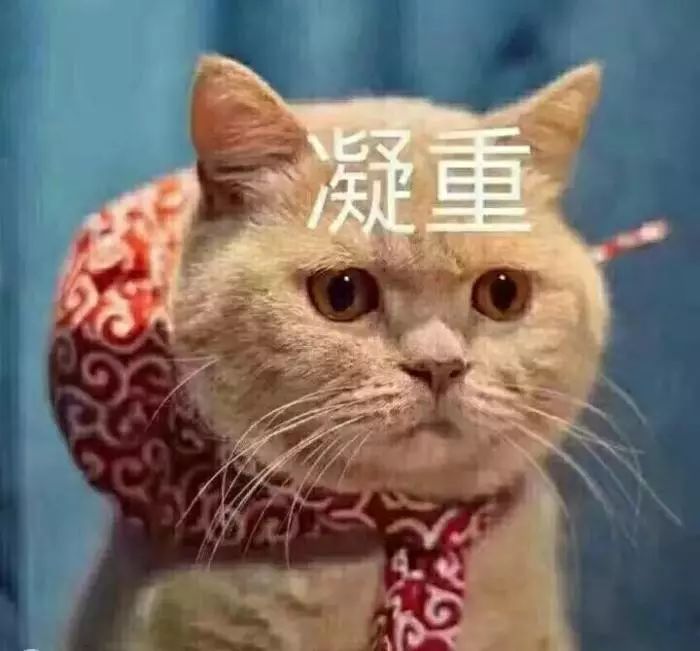 小升初佛山学校排名,小升初佛山公办学校排名