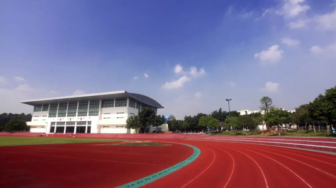 小升初佛山学校排名,小升初佛山公办学校排名