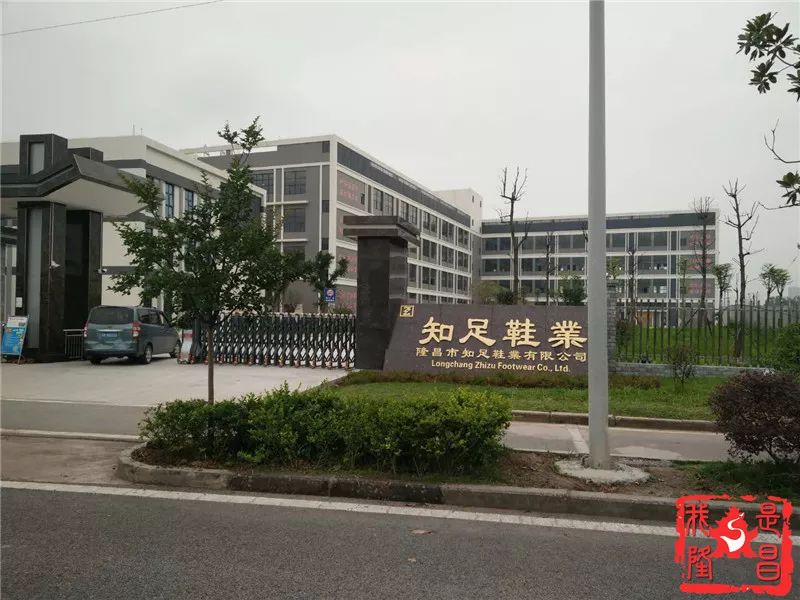 2018年隆昌返乡创业,隆昌市返乡创业