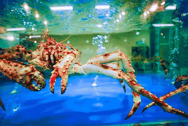 广州水产海鲜市场,广州哪里的水产市场最好