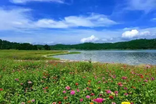 京闽中心酒店双人自助早餐81.8元,东南亚风情酒店自助早餐