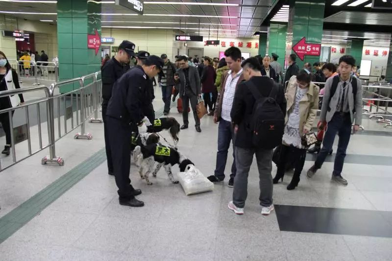 2019年广州治安怎么样,广州社会治安综合整治