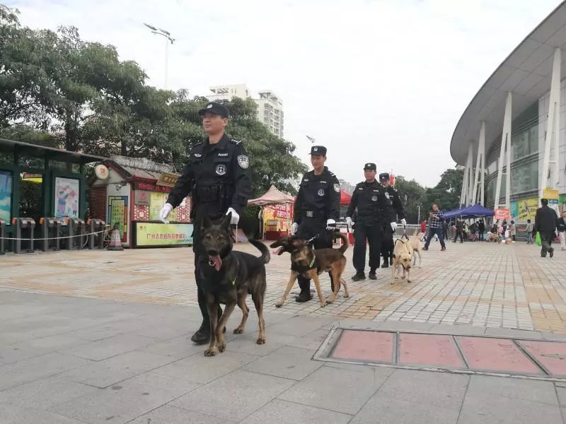 2019年广州治安怎么样,广州社会治安综合整治