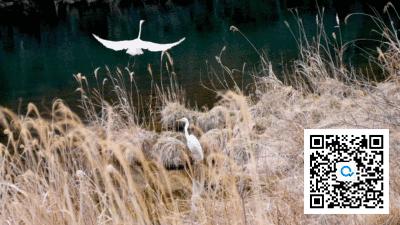 房地产问题多,房地产问题太多
